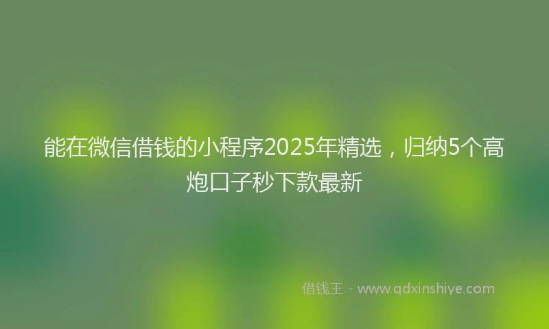 能在微信借钱的小程序2025年精选，归纳5个高炮口子秒下款最新