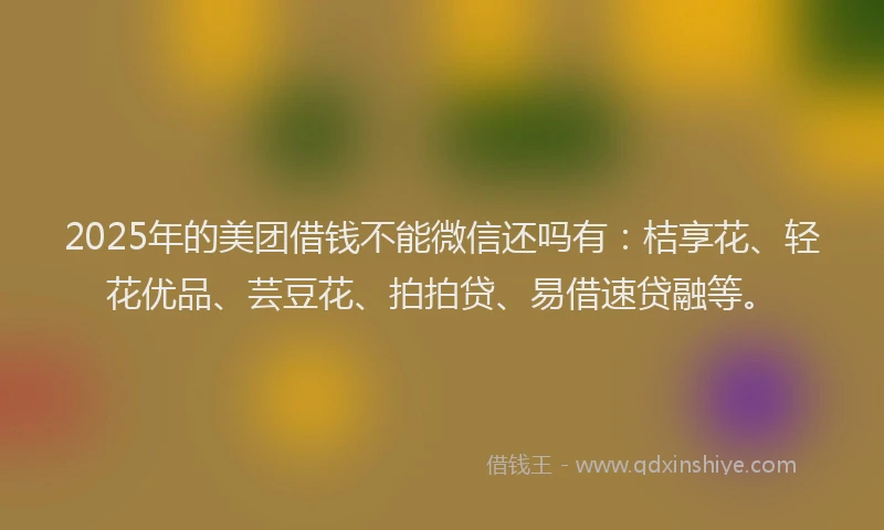 2025年的美团借钱不能微信还吗有：桔享花、轻花优品、芸豆花、拍拍贷、易借速贷融等。