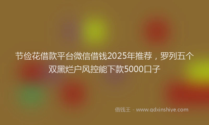 节俭花借款平台微信借钱2025年推荐，罗列五个双黑烂户风控能下款5000口子