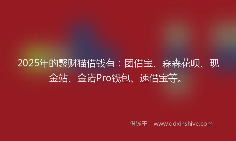 2025年的聚财猫借钱有：团借宝、森森花呗、现金站、金诺Pro钱包、速借宝等。