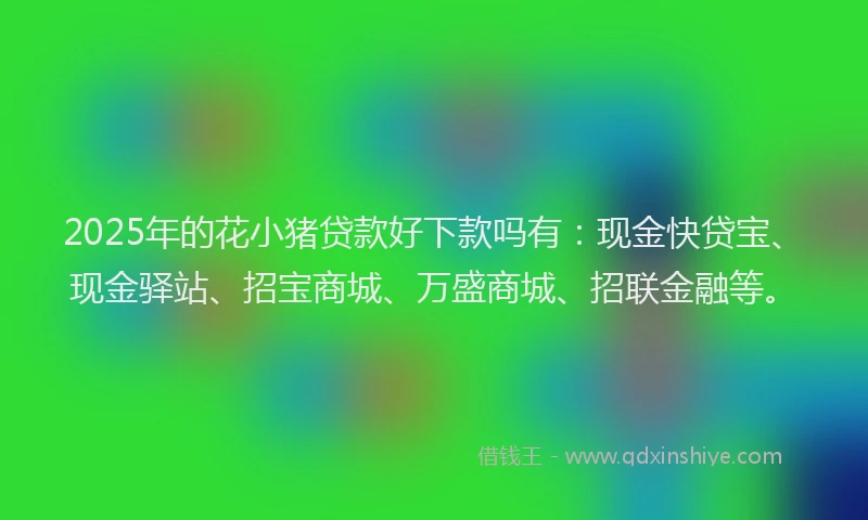 2025年的花小猪贷款好下款吗有：现金快贷宝、现金驿站、招宝商城、万盛商城、招联金融等。