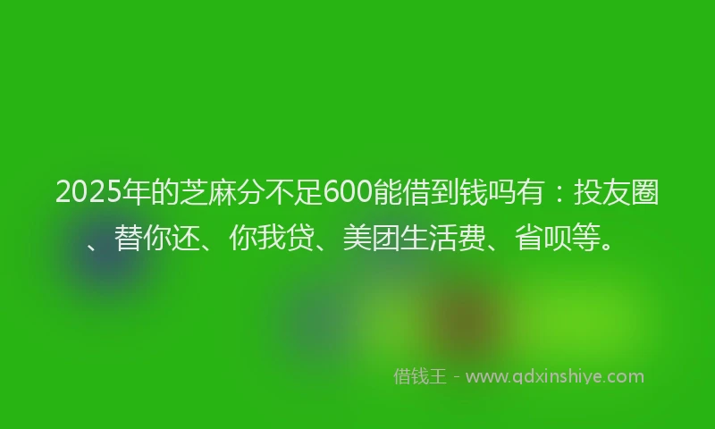 2025年的芝麻分不足600能借到钱吗有：投友圈、替你还、你我贷、美团生活费、省呗等。