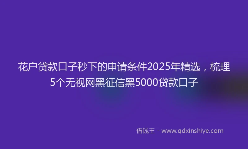 花户贷款口子秒下的申请条件2025年精选，梳理5个无视网黑征信黑5000贷款口子