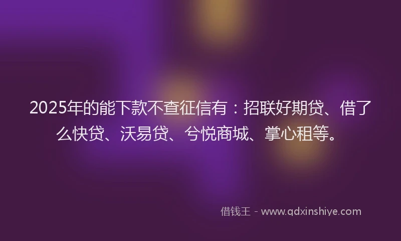 2025年的能下款不查征信有：招联好期贷、借了么快贷、沃易贷、兮悦商城、掌心租等。
