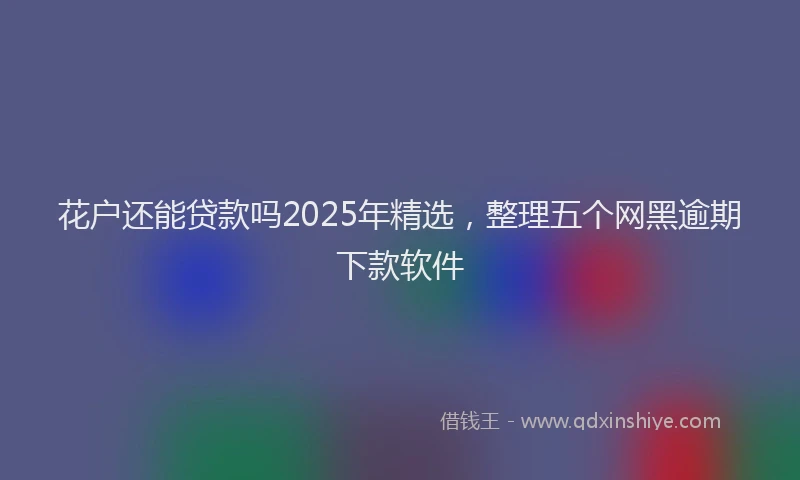 花户还能贷款吗2025年精选，整理五个网黑逾期下款软件