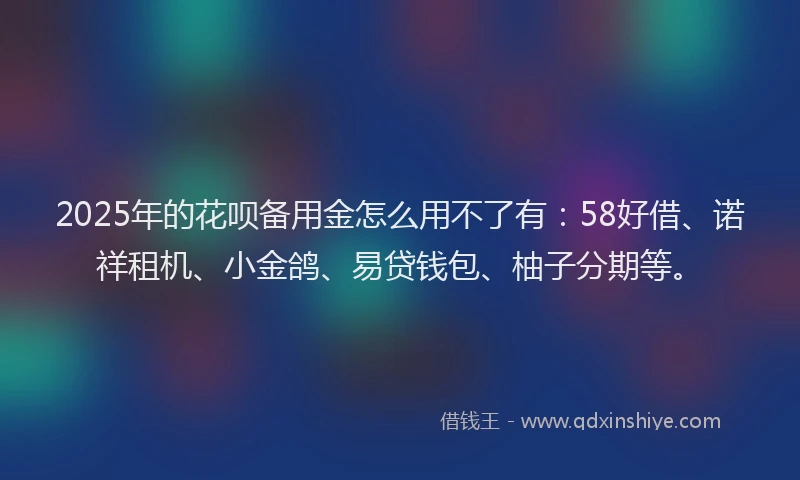 2025年的花呗备用金怎么用不了有：58好借、诺祥租机、小金鸽、易贷钱包、柚子分期等。