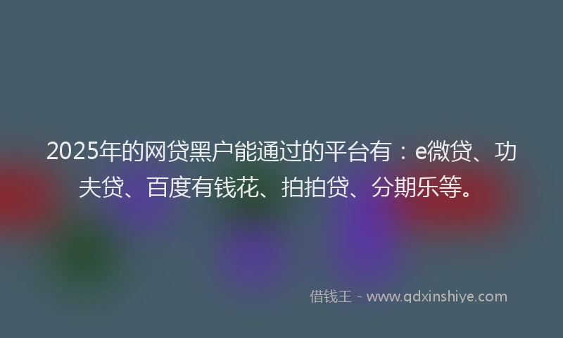 2025年的网贷黑户能通过的平台有：e微贷、功夫贷、百度有钱花、拍拍贷、分期乐等。