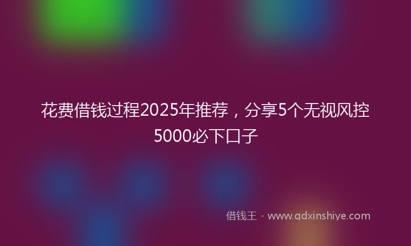 花费借钱过程2025年推荐，分享5个无视风控5000必下口子