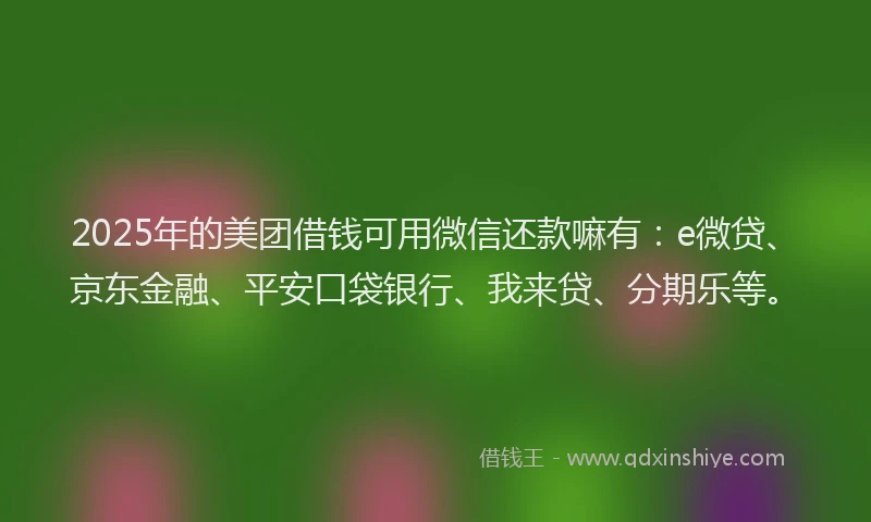 2025年的美团借钱可用微信还款嘛有：e微贷、京东金融、平安口袋银行、我来贷、分期乐等。