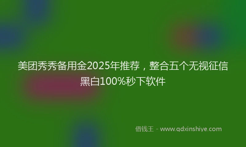 美团秀秀备用金2025年推荐，整合五个无视征信黑白100%秒下软件