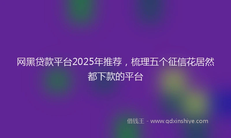 网黑贷款平台2025年推荐，梳理五个征信花居然都下款的平台