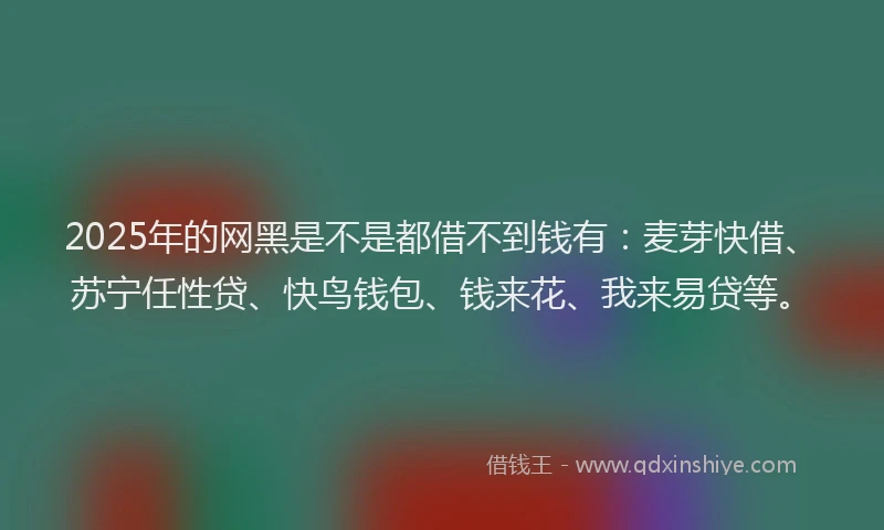 2025年的网黑是不是都借不到钱有：麦芽快借、苏宁任性贷、快鸟钱包、钱来花、我来易贷等。