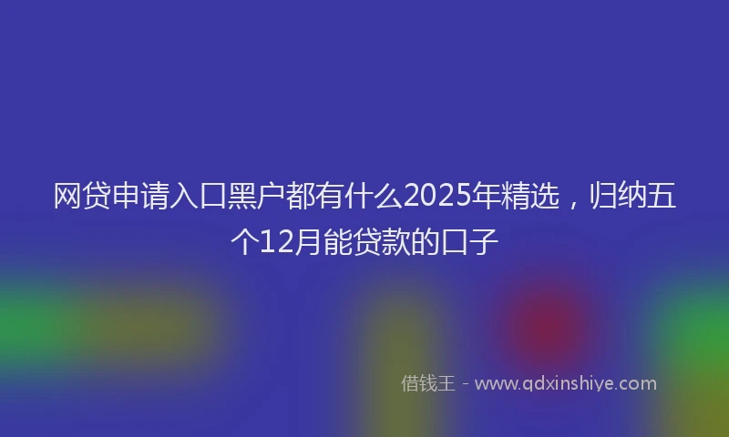 网贷申请入口黑户都有什么2025年精选，归纳五个12月能贷款的口子