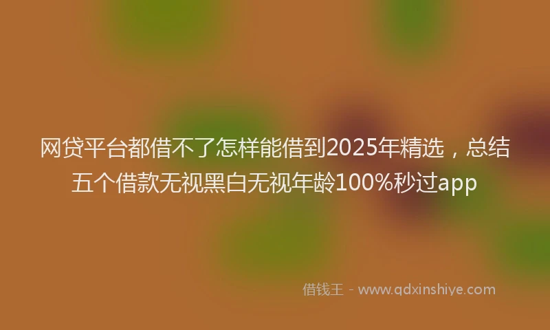 网贷平台都借不了怎样能借到2025年精选，总结五个借款无视黑白无视年龄100%秒过app