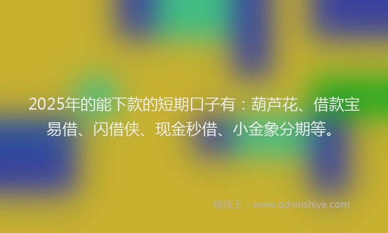 2025年的能下款的短期口子有：葫芦花、借款宝易借、闪借侠、现金秒借、小金象分期等。