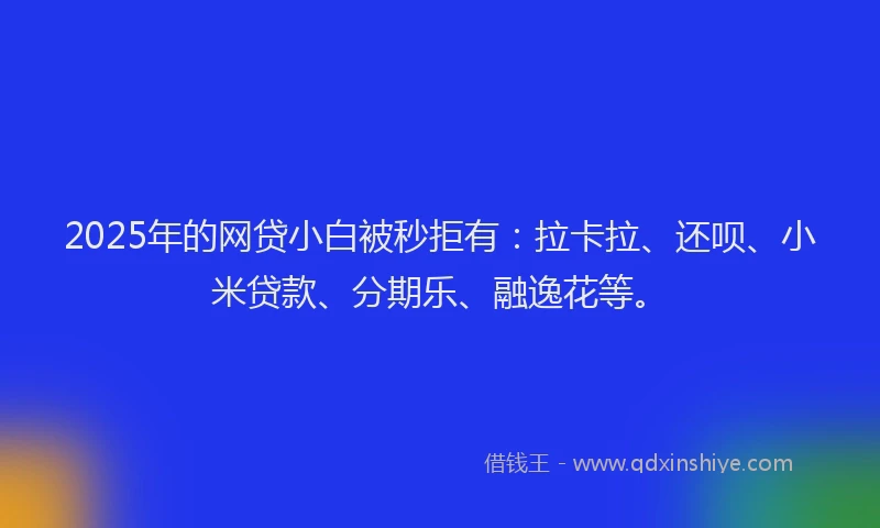 2025年的网贷小白被秒拒有：拉卡拉、还呗、小米贷款、分期乐、融逸花等。