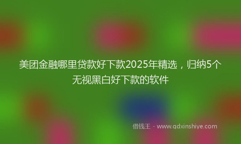 美团金融哪里贷款好下款2025年精选，归纳5个无视黑白好下款的软件