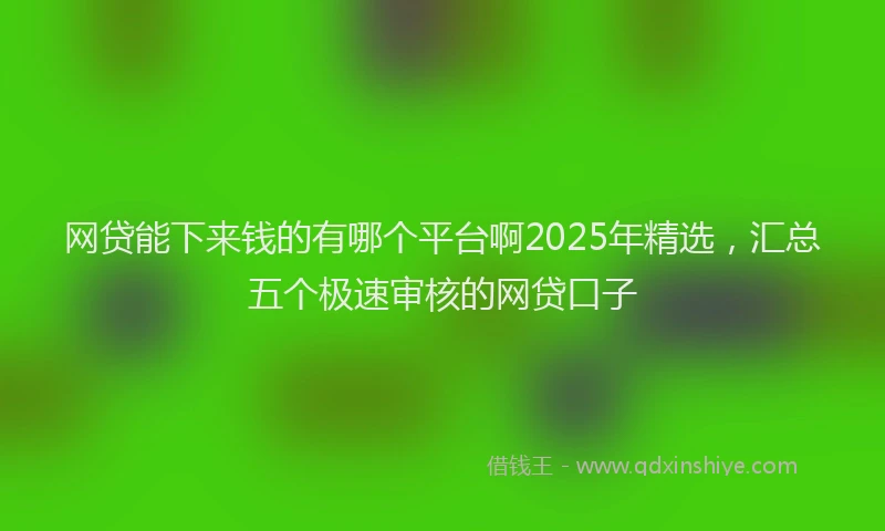 网贷能下来钱的有哪个平台啊2025年精选，汇总五个极速审核的网贷口子