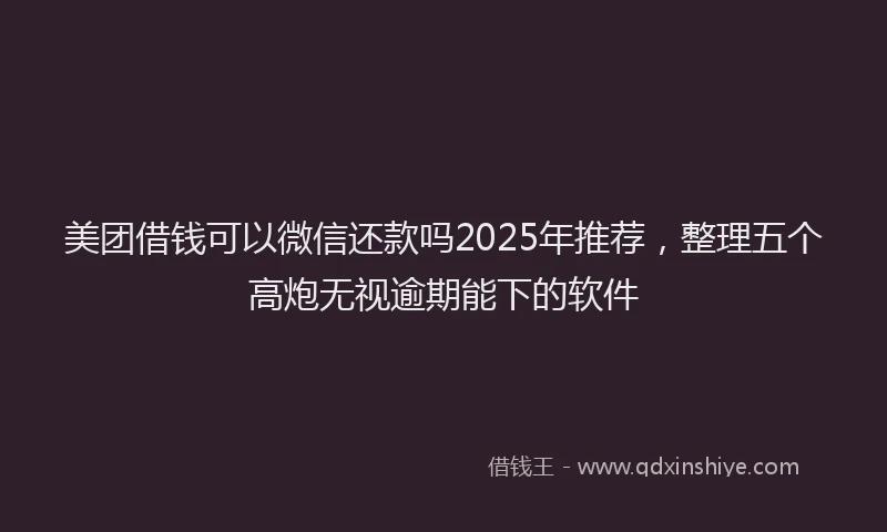 美团借钱可以微信还款吗2025年推荐，整理五个高炮无视逾期能下的软件