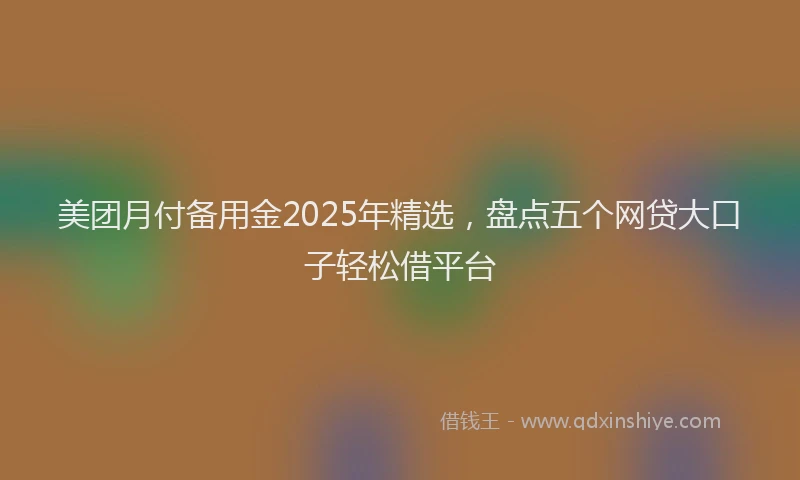 美团月付备用金2025年精选，盘点五个网贷大口子轻松借平台