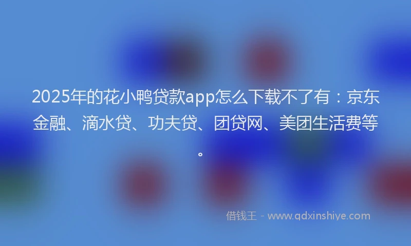 2025年的花小鸭贷款app怎么下载不了有：京东金融、滴水贷、功夫贷、团贷网、美团生活费等。