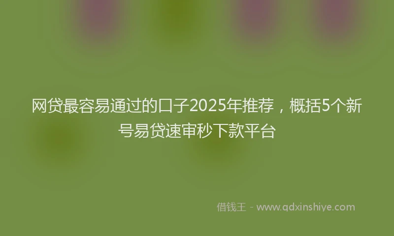 网贷最容易通过的口子2025年推荐，概括5个新号易贷速审秒下款平台