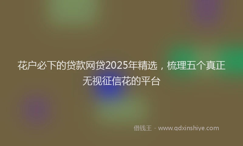 花户必下的贷款网贷2025年精选，梳理五个真正无视征信花的平台