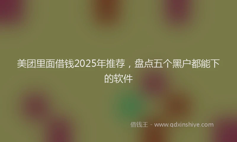 美团里面借钱2025年推荐，盘点五个黑户都能下的软件