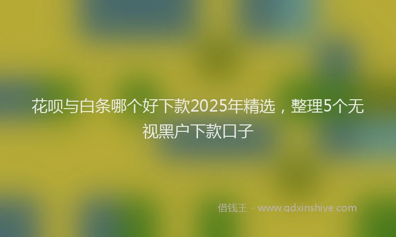 花呗与白条哪个好下款2025年精选，整理5个无视黑户下款口子