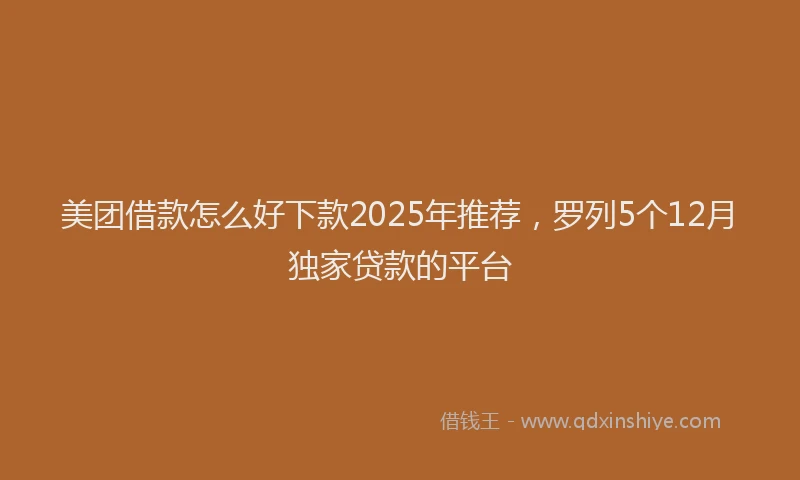 美团借款怎么好下款2025年推荐，罗列5个12月独家贷款的平台