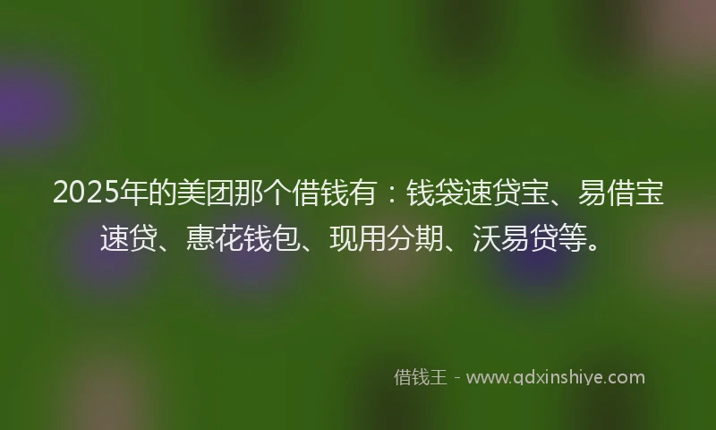 2025年的美团那个借钱有：钱袋速贷宝、易借宝速贷、惠花钱包、现用分期、沃易贷等。