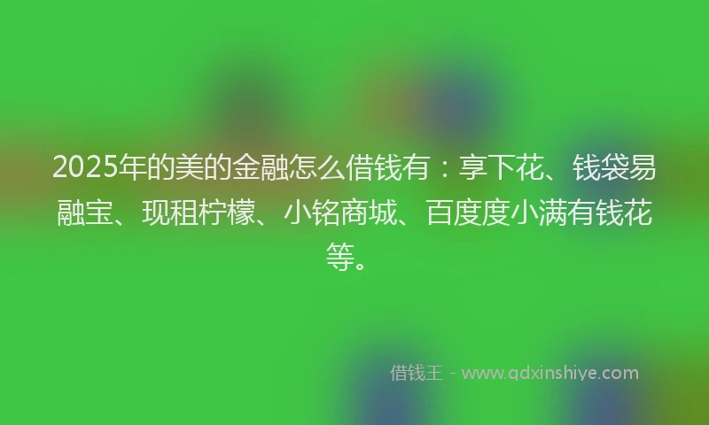 2025年的美的金融怎么借钱有：享下花、钱袋易融宝、现租柠檬、小铭商城、百度度小满有钱花等。