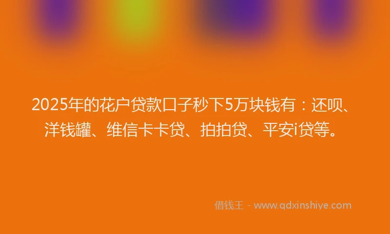 2025年的花户贷款口子秒下5万块钱有：还呗、洋钱罐、维信卡卡贷、拍拍贷、平安i贷等。