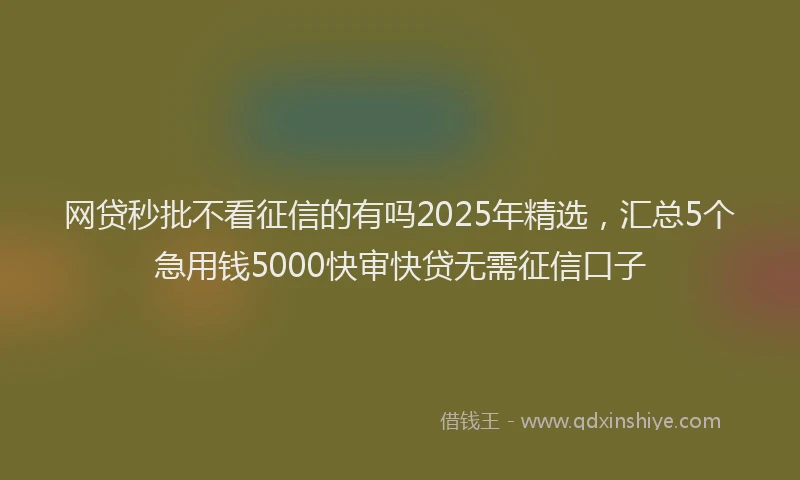网贷秒批不看征信的有吗2025年精选，汇总5个急用钱5000快审快贷无需征信口子