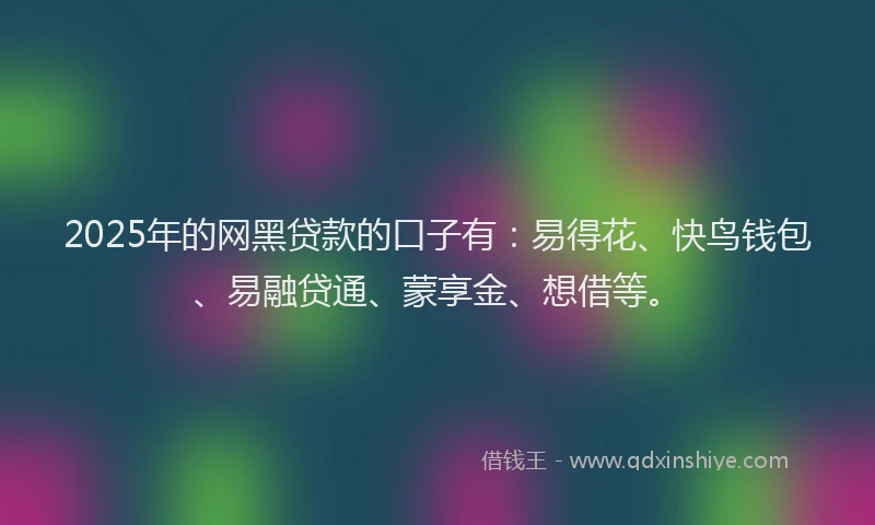 2025年的网黑贷款的口子有：易得花、快鸟钱包、易融贷通、蒙享金、想借等。