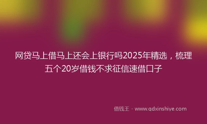 网贷马上借马上还会上银行吗2025年精选，梳理五个20岁借钱不求征信速借口子