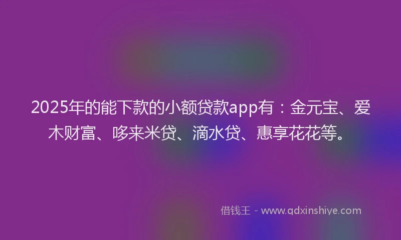 2025年的能下款的小额贷款app有：金元宝、爱木财富、哆来米贷、滴水贷、惠享花花等。