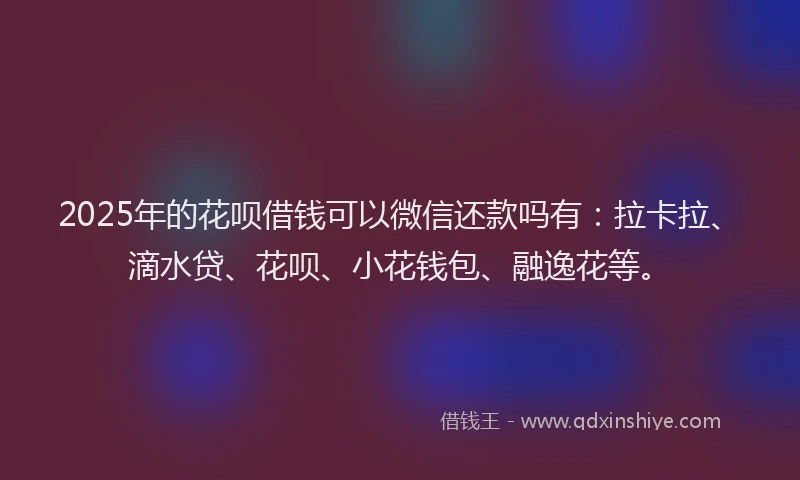 2025年的花呗借钱可以微信还款吗有：拉卡拉、滴水贷、花呗、小花钱包、融逸花等。