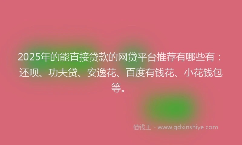 2025年的能直接贷款的网贷平台推荐有哪些有：还呗、功夫贷、安逸花、百度有钱花、小花钱包等。