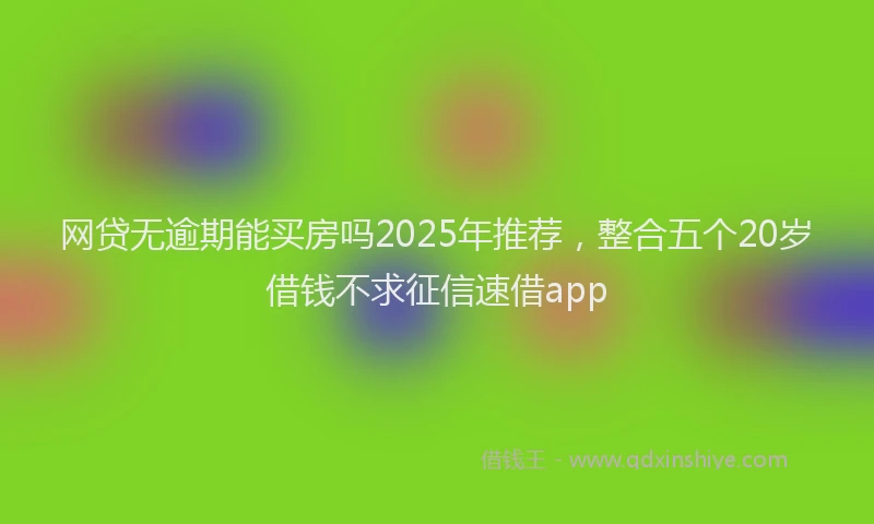 网贷无逾期能买房吗2025年推荐，整合五个20岁借钱不求征信速借app