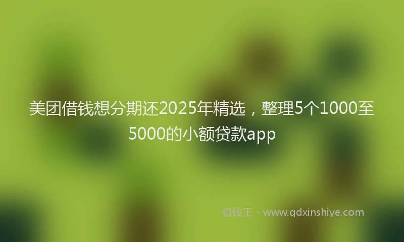 美团借钱想分期还2025年精选，整理5个1000至5000的小额贷款app