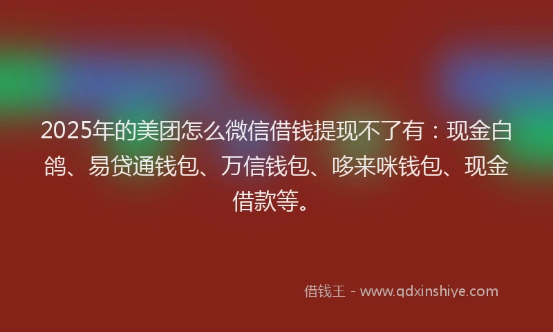2025年的美团怎么微信借钱提现不了有：现金白鸽、易贷通钱包、万信钱包、哆来咪钱包、现金借款等。