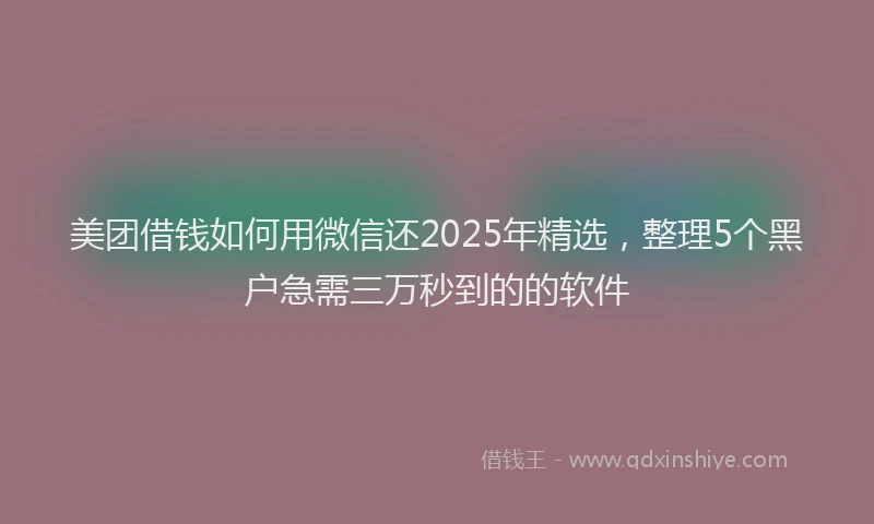 美团借钱如何用微信还2025年精选，整理5个黑户急需三万秒到的的软件