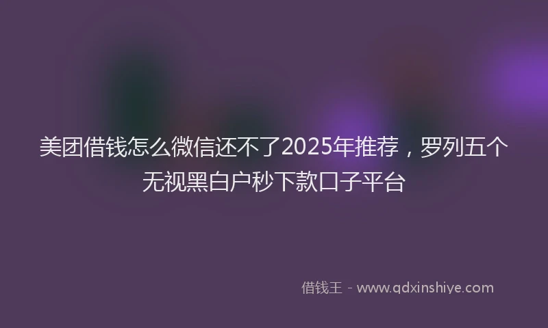 美团借钱怎么微信还不了2025年推荐，罗列五个无视黑白户秒下款口子平台