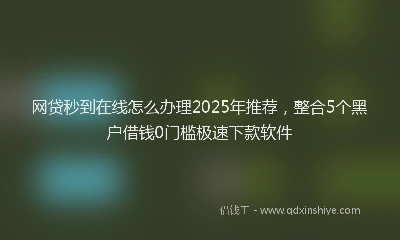 网贷秒到在线怎么办理2025年推荐，整合5个黑户借钱0门槛极速下款软件