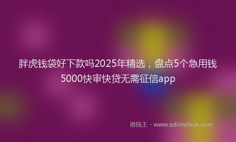 胖虎钱袋好下款吗2025年精选，盘点5个急用钱5000快审快贷无需征信app