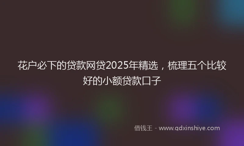 花户必下的贷款网贷2025年精选，梳理五个比较好的小额贷款口子
