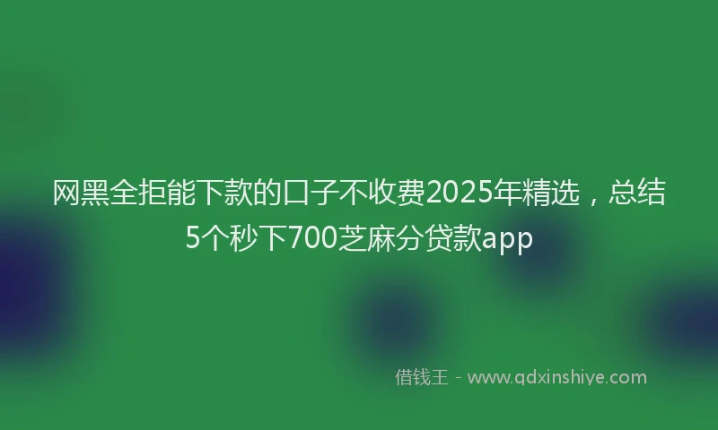 网黑全拒能下款的口子不收费2025年精选，总结5个秒下700芝麻分贷款app