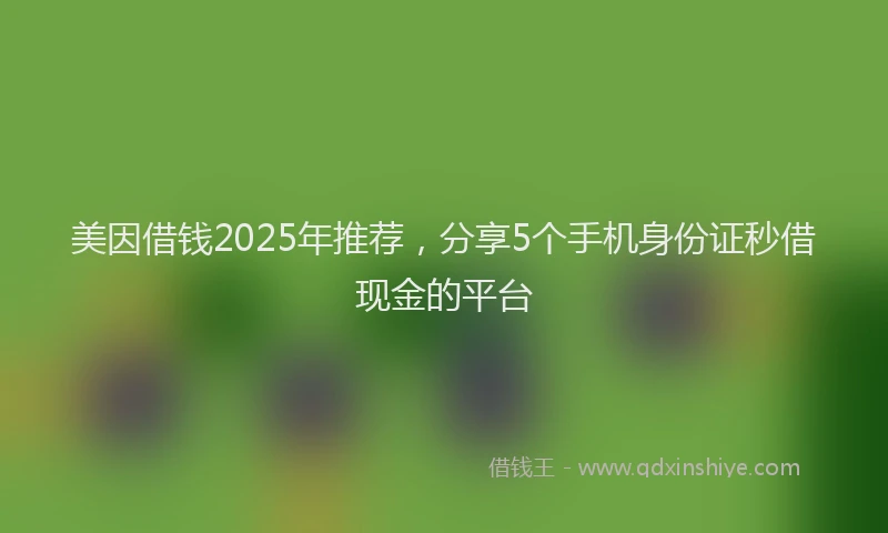 美因借钱2025年推荐，分享5个手机身份证秒借现金的平台