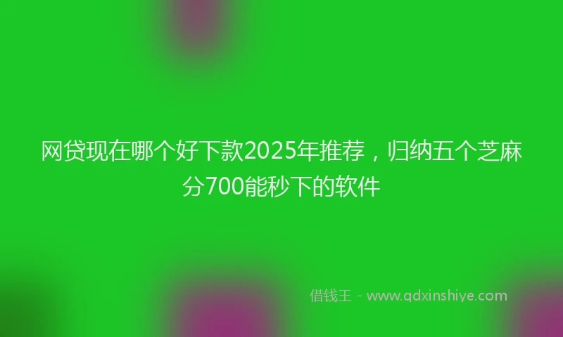 网贷现在哪个好下款2025年推荐，归纳五个芝麻分700能秒下的软件